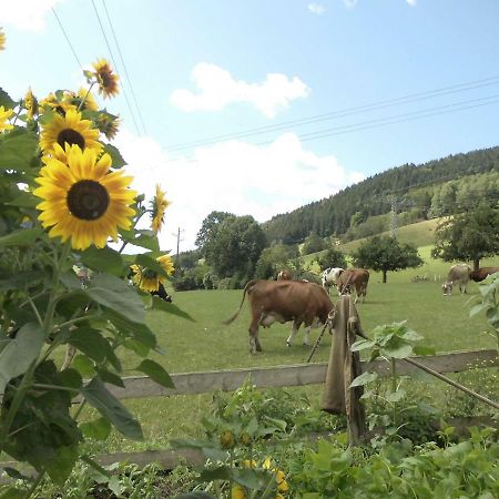 Urlaub Auf Dem Haenslehof Apartamento Elzach Exterior foto