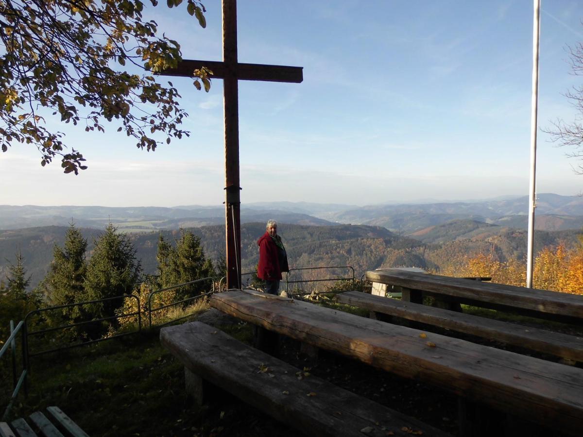 Urlaub Auf Dem Haenslehof Apartamento Elzach Exterior foto