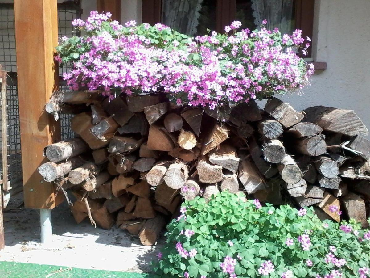 Urlaub Auf Dem Haenslehof Apartamento Elzach Exterior foto
