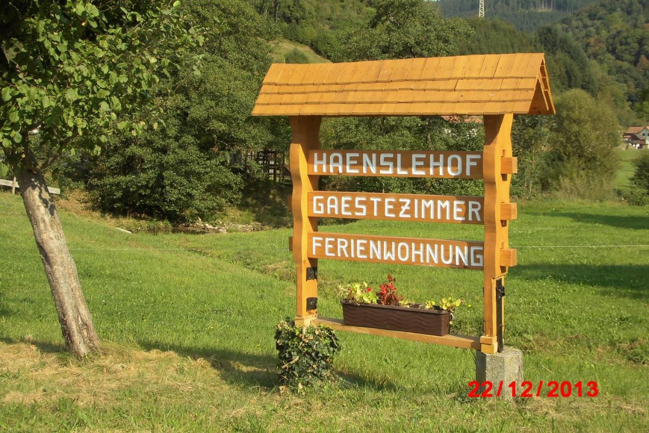Urlaub Auf Dem Haenslehof Apartamento Elzach Exterior foto