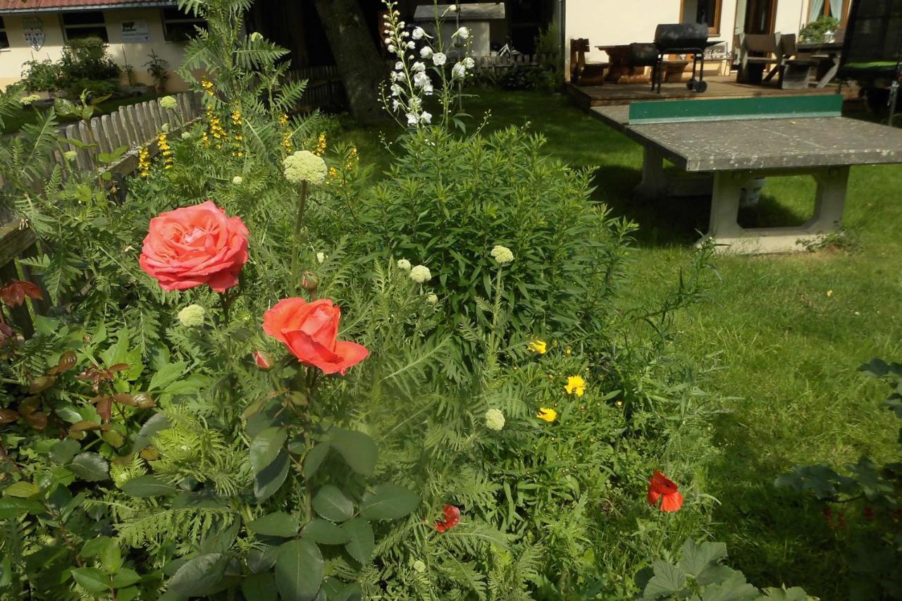 Urlaub Auf Dem Haenslehof Apartamento Elzach Exterior foto