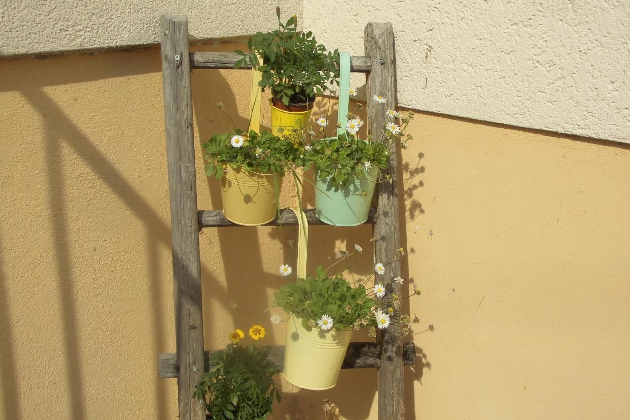 Urlaub Auf Dem Haenslehof Apartamento Elzach Exterior foto