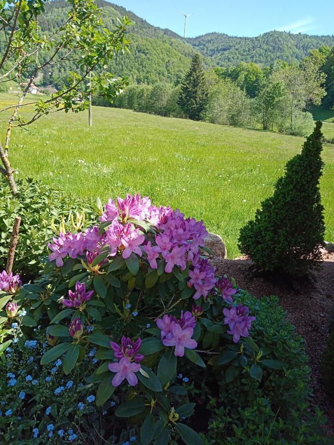 Urlaub Auf Dem Haenslehof Apartamento Elzach Exterior foto