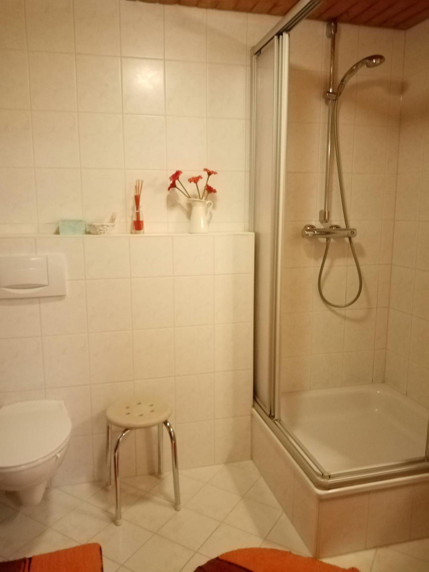 Urlaub Auf Dem Haenslehof Apartamento Elzach Exterior foto