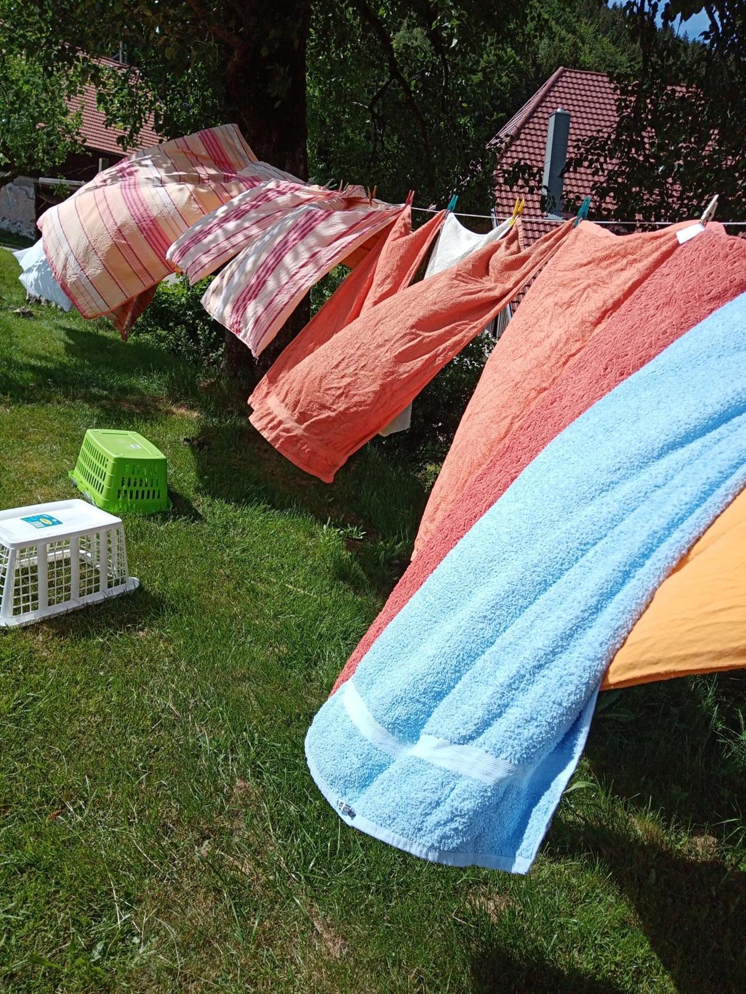 Urlaub Auf Dem Haenslehof Apartamento Elzach Exterior foto