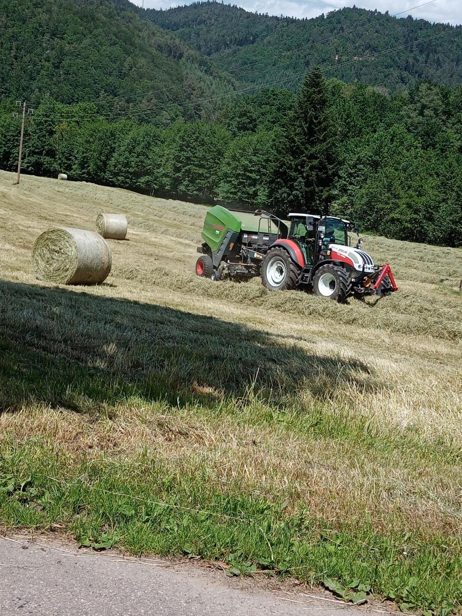 Urlaub Auf Dem Haenslehof Apartamento Elzach Exterior foto