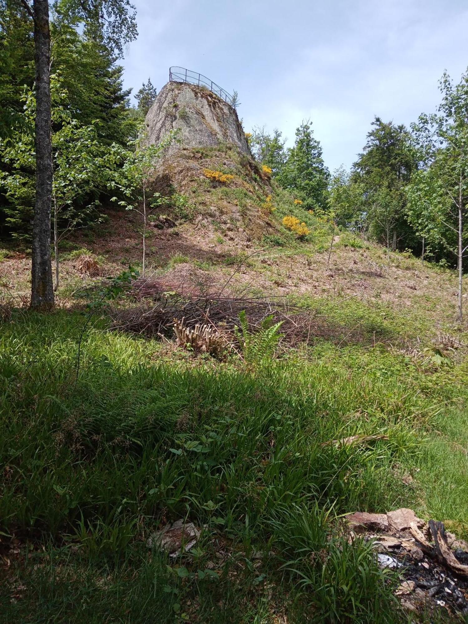 Urlaub Auf Dem Haenslehof Apartamento Elzach Exterior foto