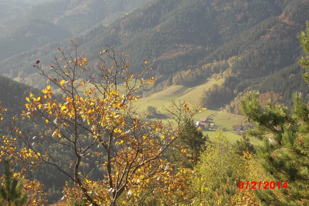 Urlaub Auf Dem Haenslehof Apartamento Elzach Exterior foto