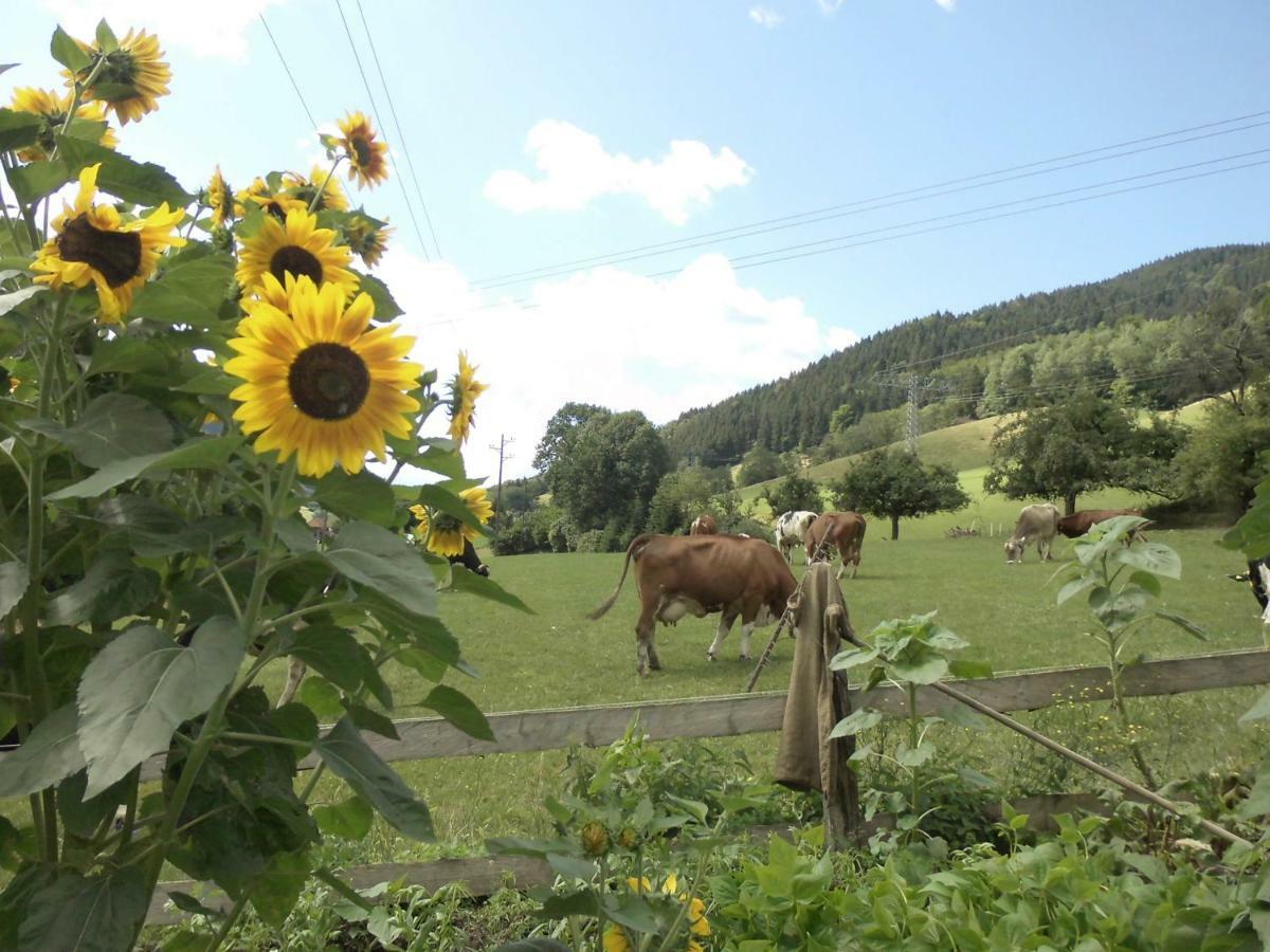 Urlaub Auf Dem Haenslehof Apartamento Elzach Exterior foto